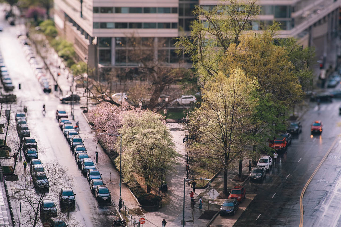 Experience the Magic of Washington DC Through Tilt-Shift Photography