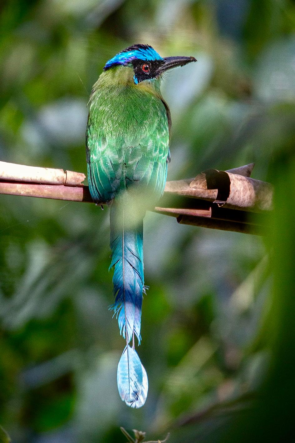 When the Barranquero Found Us