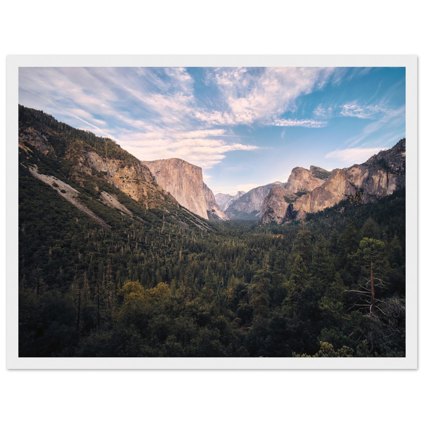 12858a76-4cc8-46b1-8d8c-f62aeb93a749