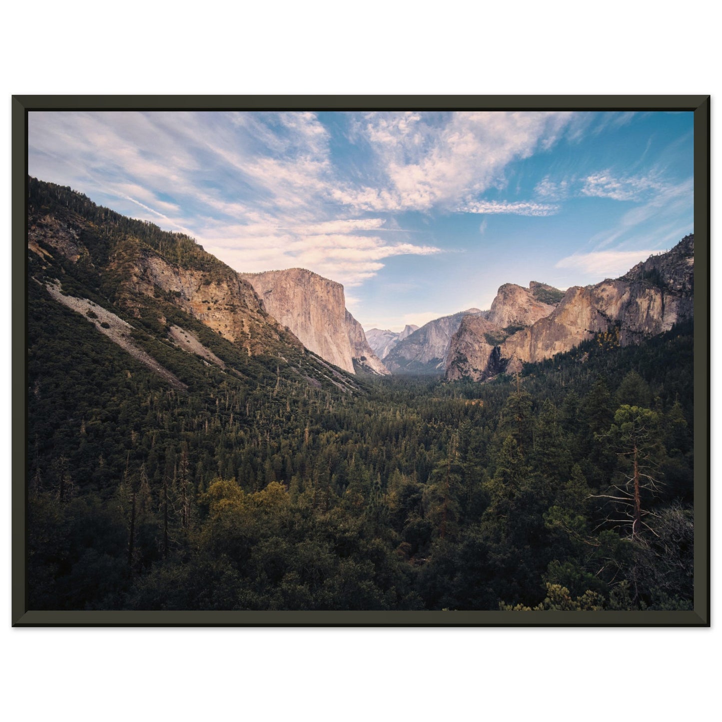 1554ab74-91e5-4fe9-b3fe-e09f086a9345