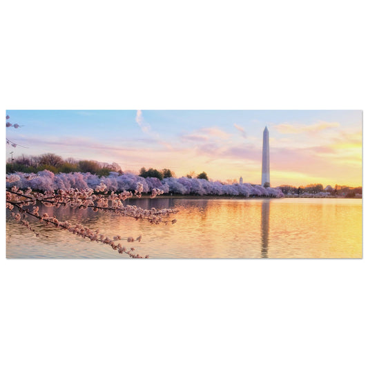 17d4d46c-1742-4071-a41e-81d19d4847d0