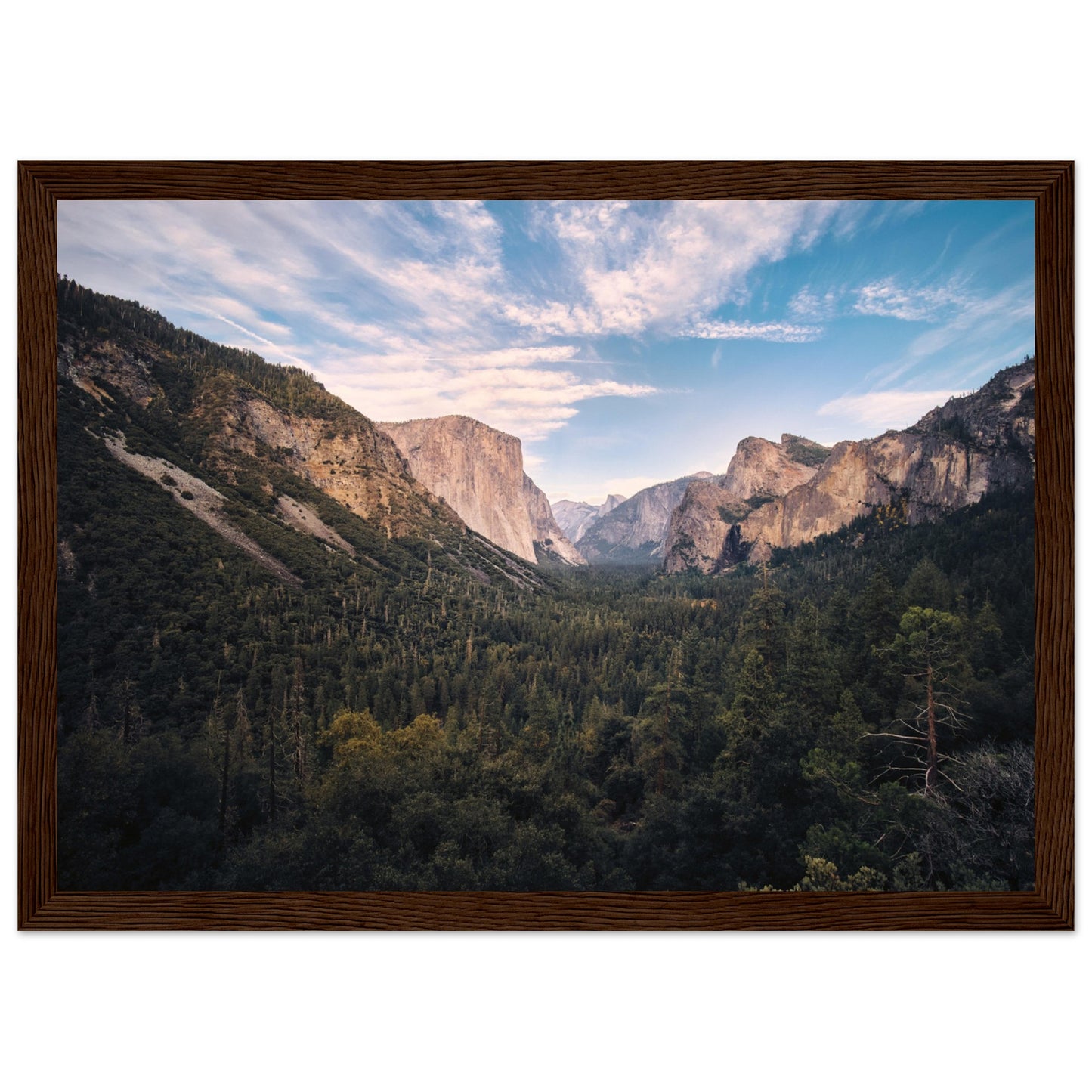 185d04bf-6efb-4a98-90a8-d3b6ba3155e1