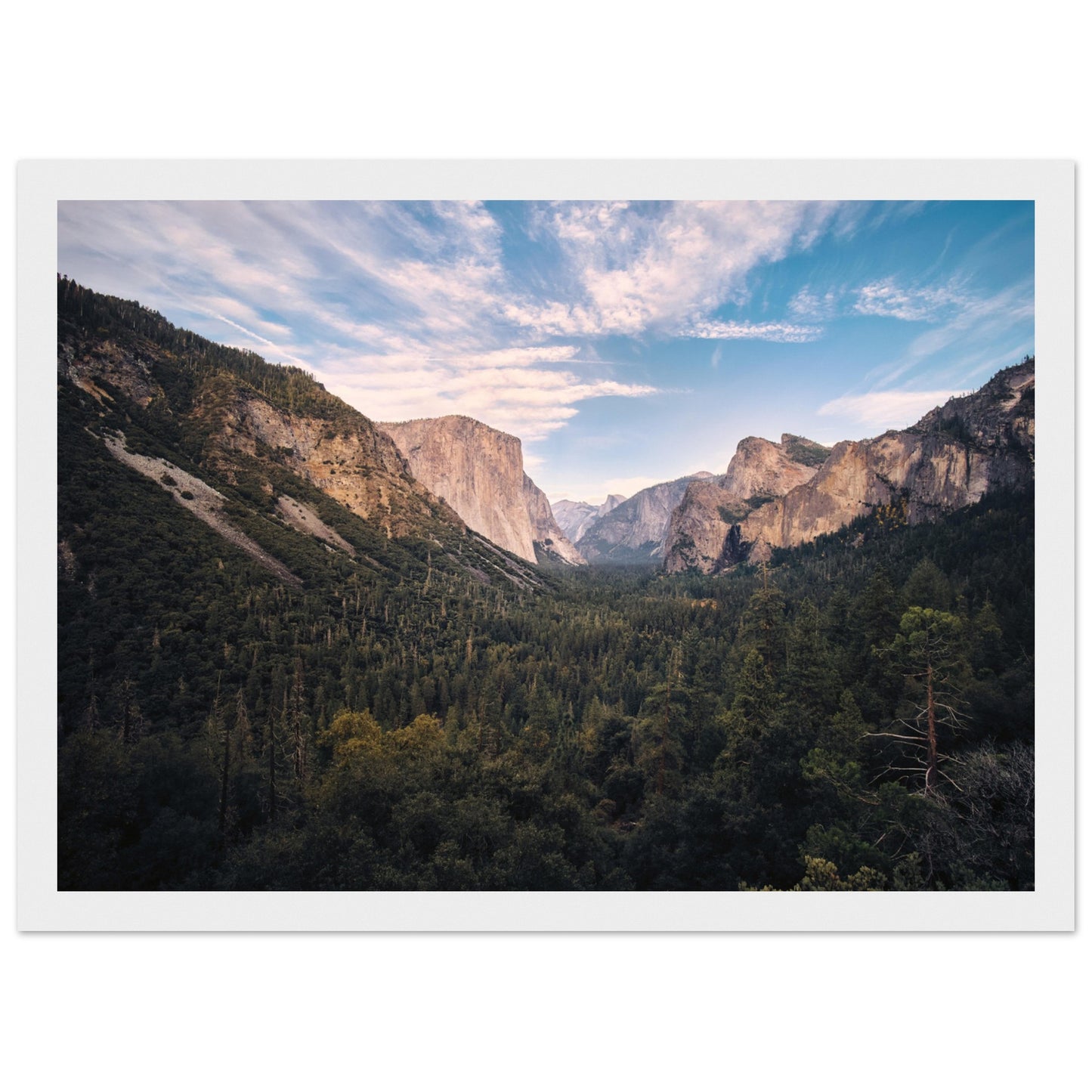 21d1be03-7d89-45e8-8095-87471feff1ca