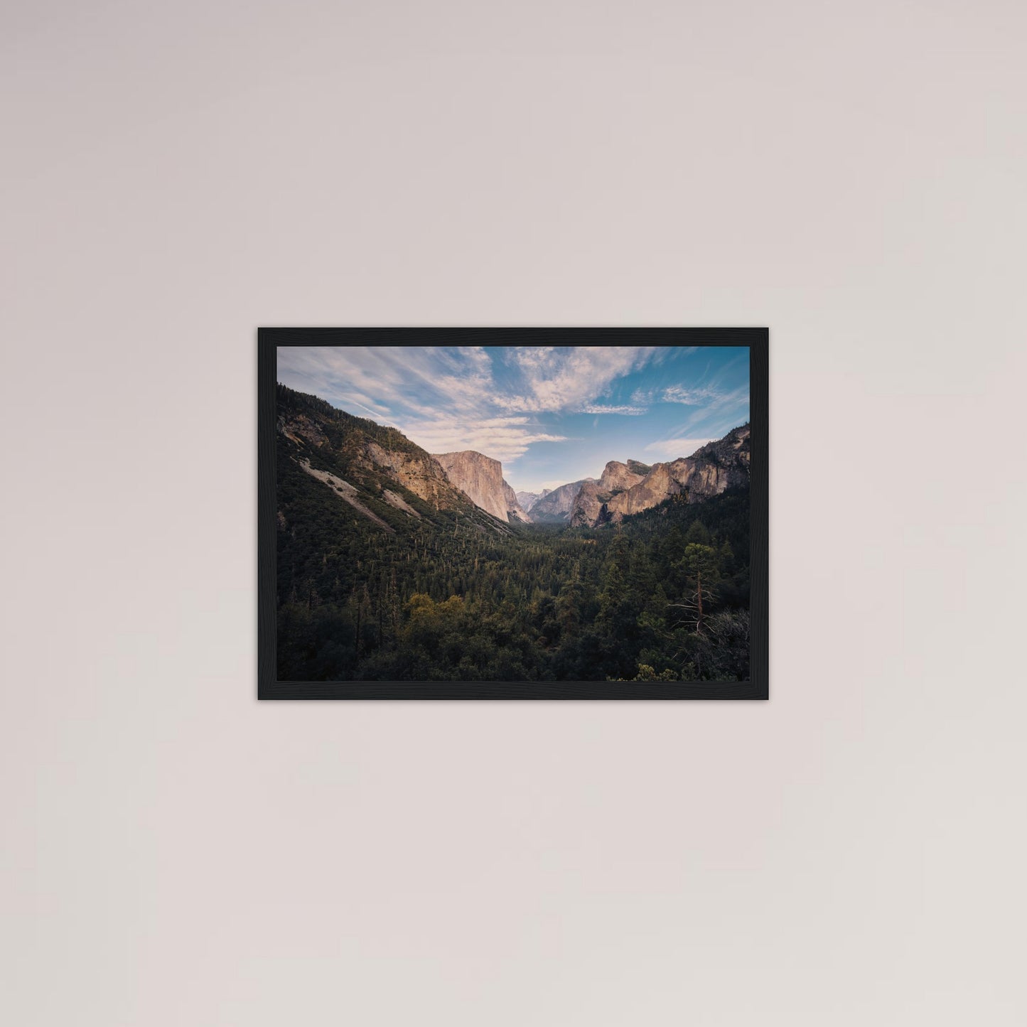 325add65-8d74-4d5a-9bca-584705dfea37