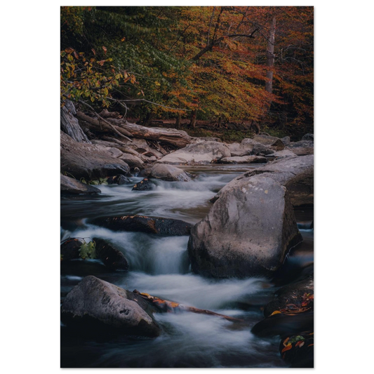 35e84a0f-c84c-433b-9811-669a901d5bad