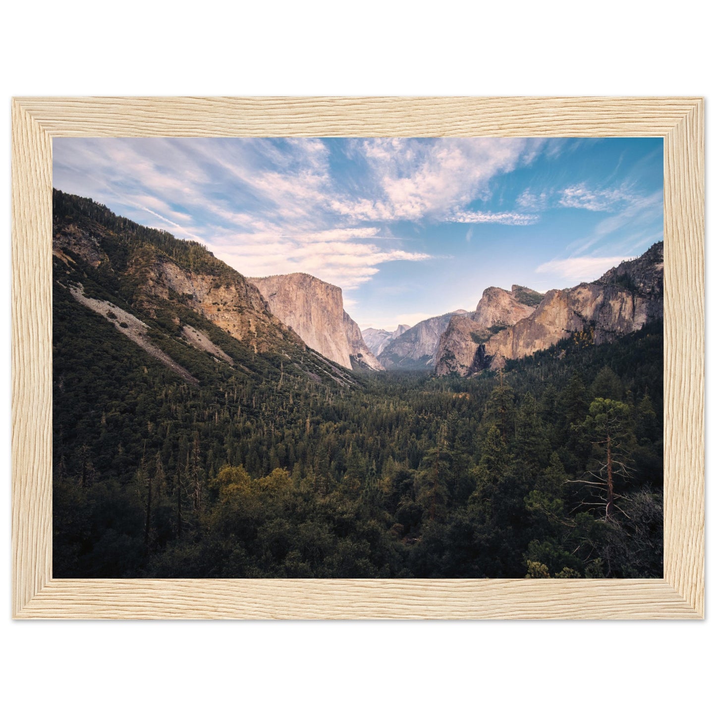 52c0245c-4cee-4ab4-a354-e70a3a43072b