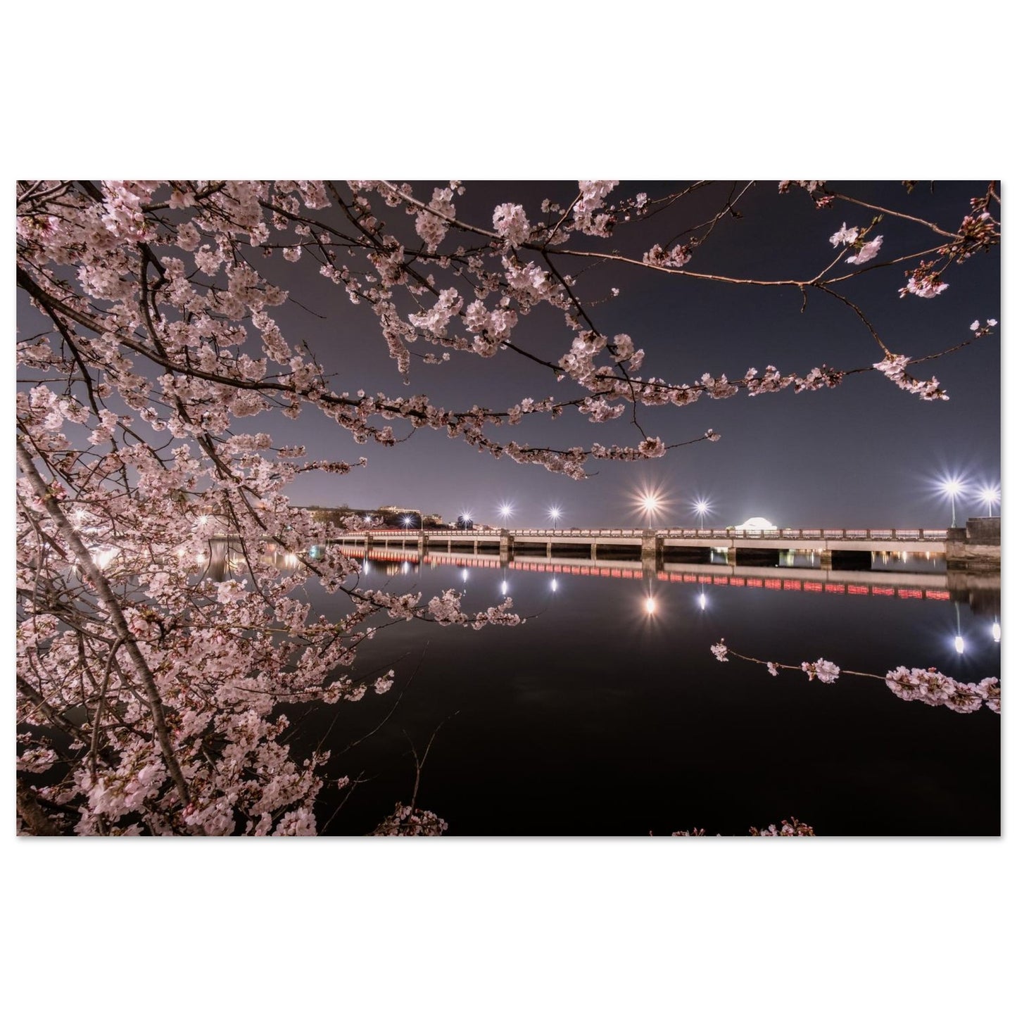 534504f3-61c1-46f0-ad61-0dbda7ef1b7f