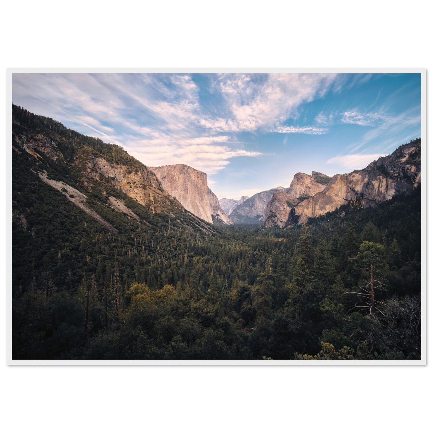 56043b63-5736-4008-b869-02b987f3c8a5