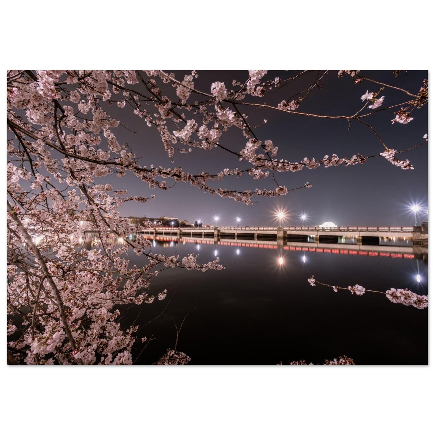 8fa0a924-e86f-4a47-980d-53c450f65570