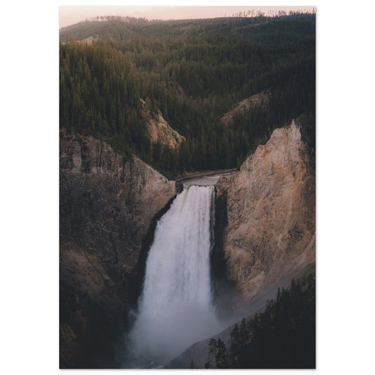 9c5adbb4-3e14-4507-a4eb-68de4a45b894