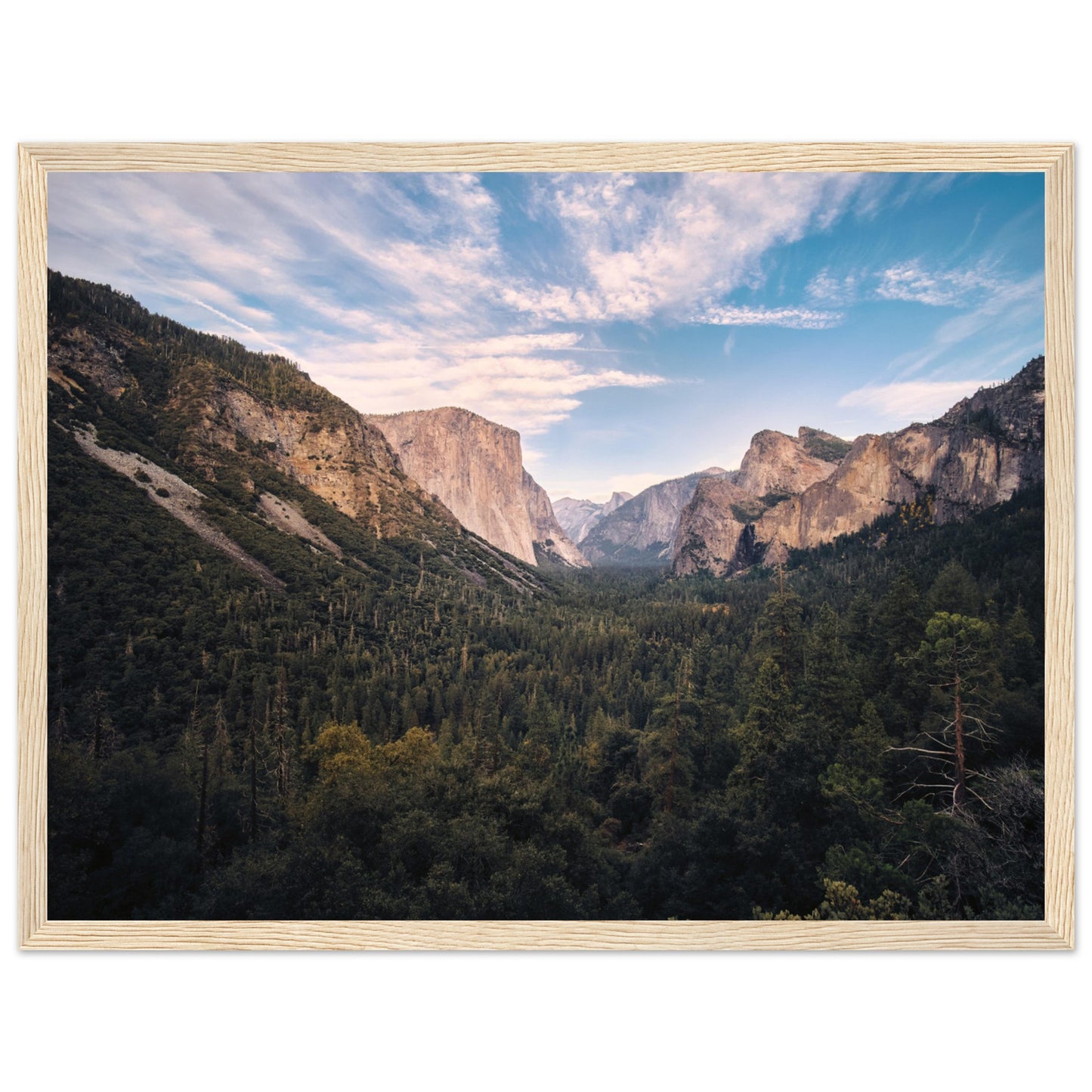 b044376e-e726-4f32-b901-bc27b2742f02