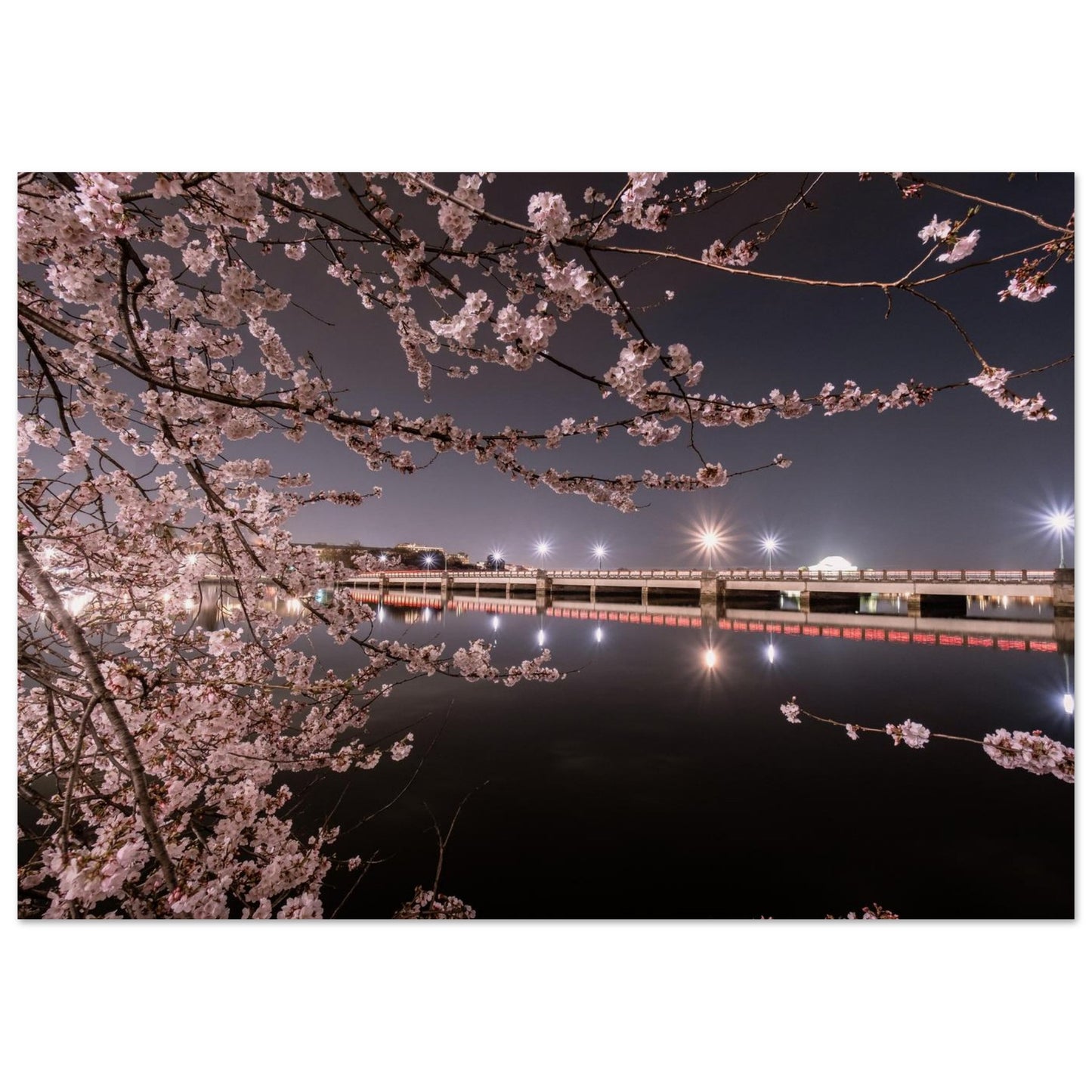 b1fa3d3e-43eb-46d3-9ef6-32ef5166e2fa