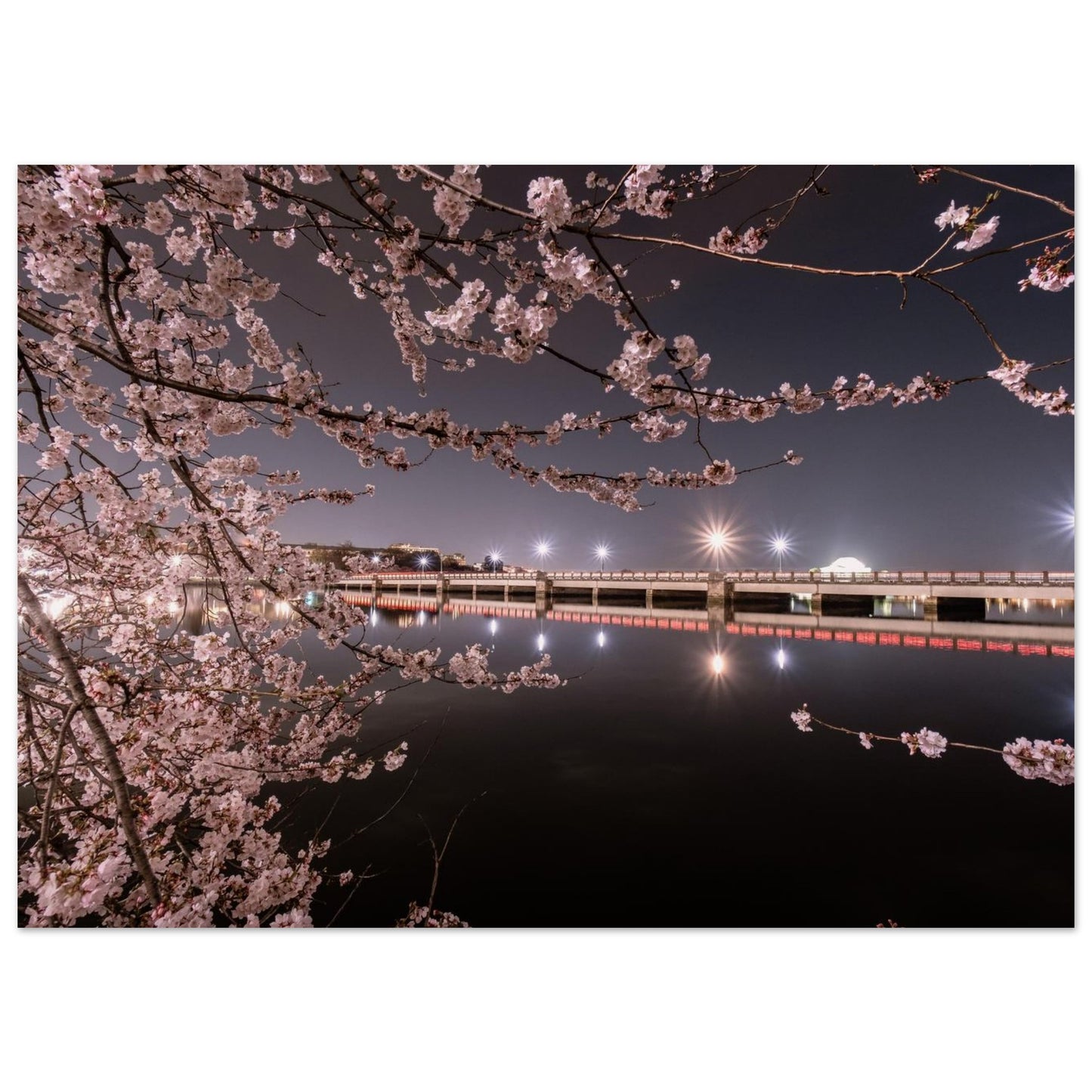 d16b3a1f-5705-440c-81e1-150a94d614d5