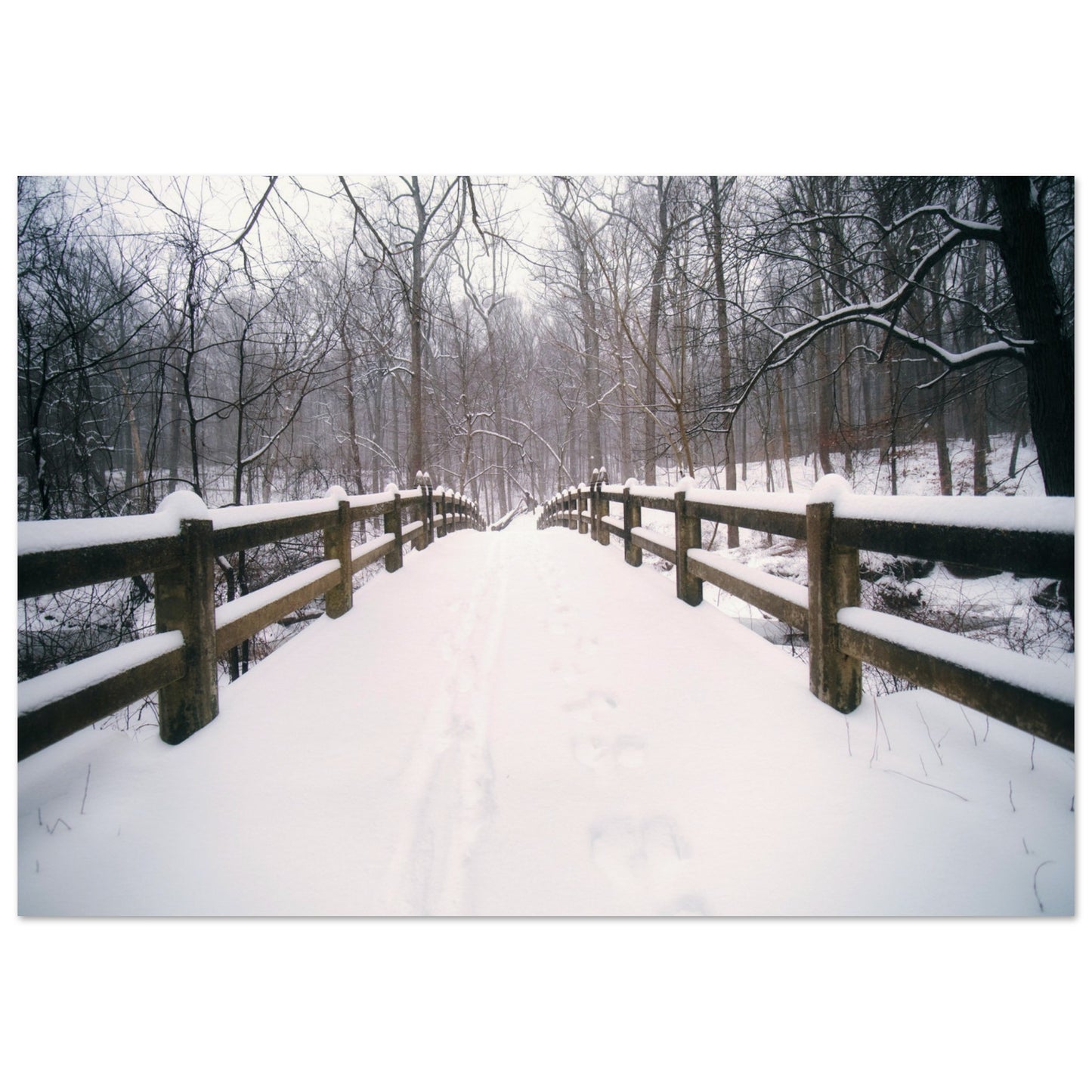 d4665578-da31-44a3-824b-2bbd1a8a5aa5