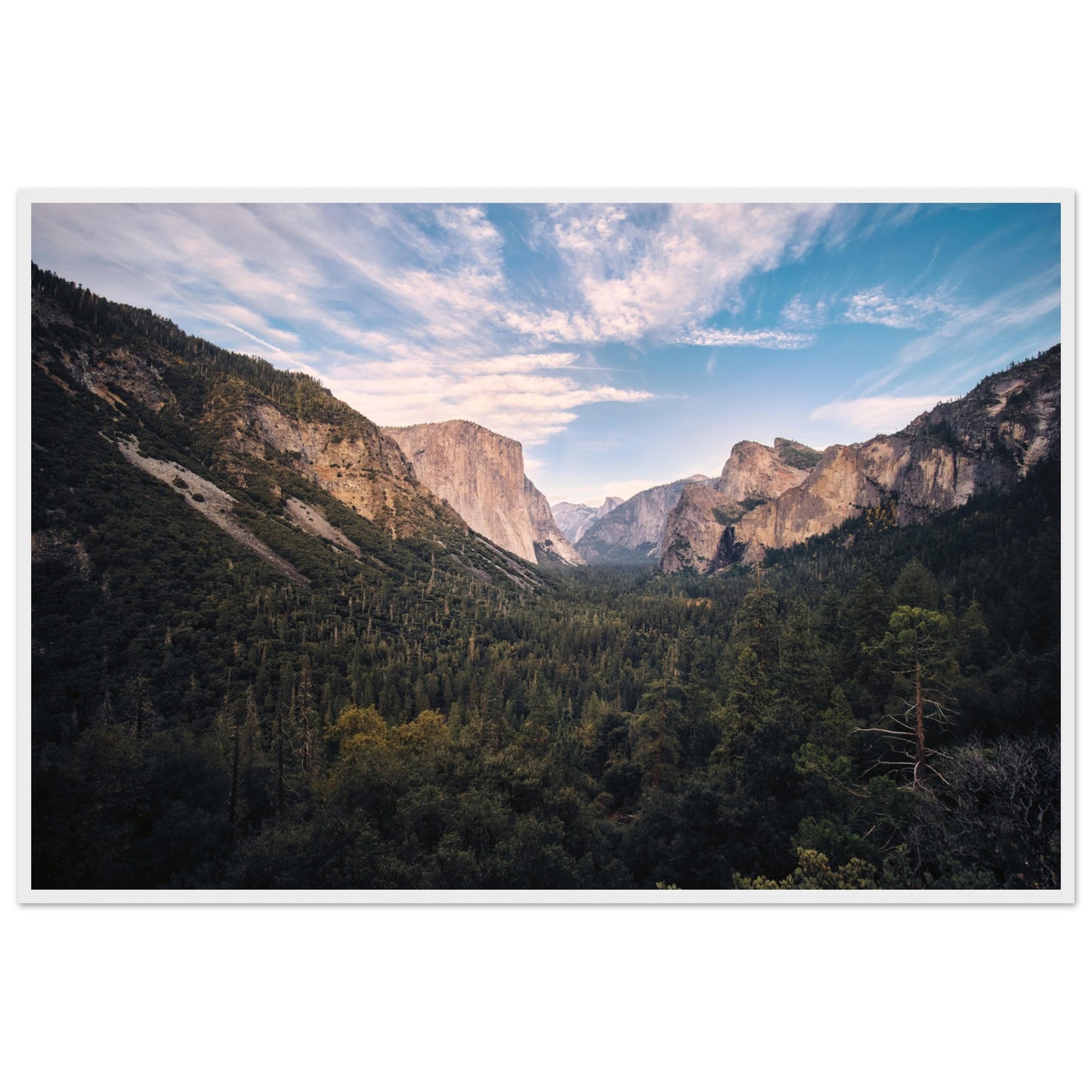 d936bda3-32d5-41be-9f1f-e75b87729c82