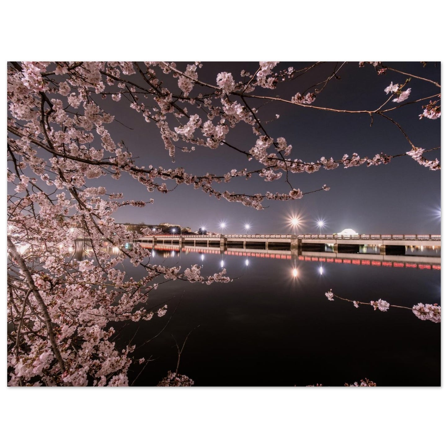 dc13418e-c5b3-4960-ae37-e59c6e05da2e