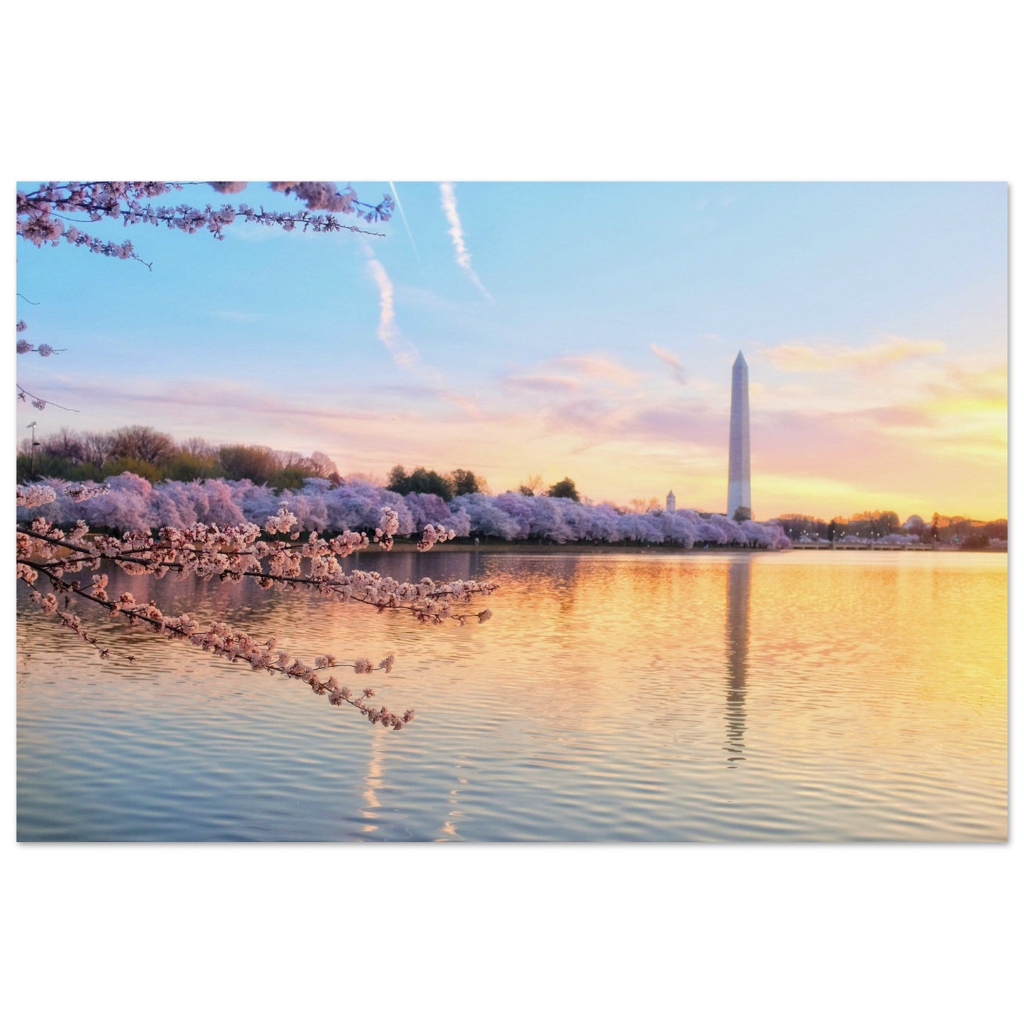 e0e2e771-d26b-459f-bc15-bc9aff59b75c