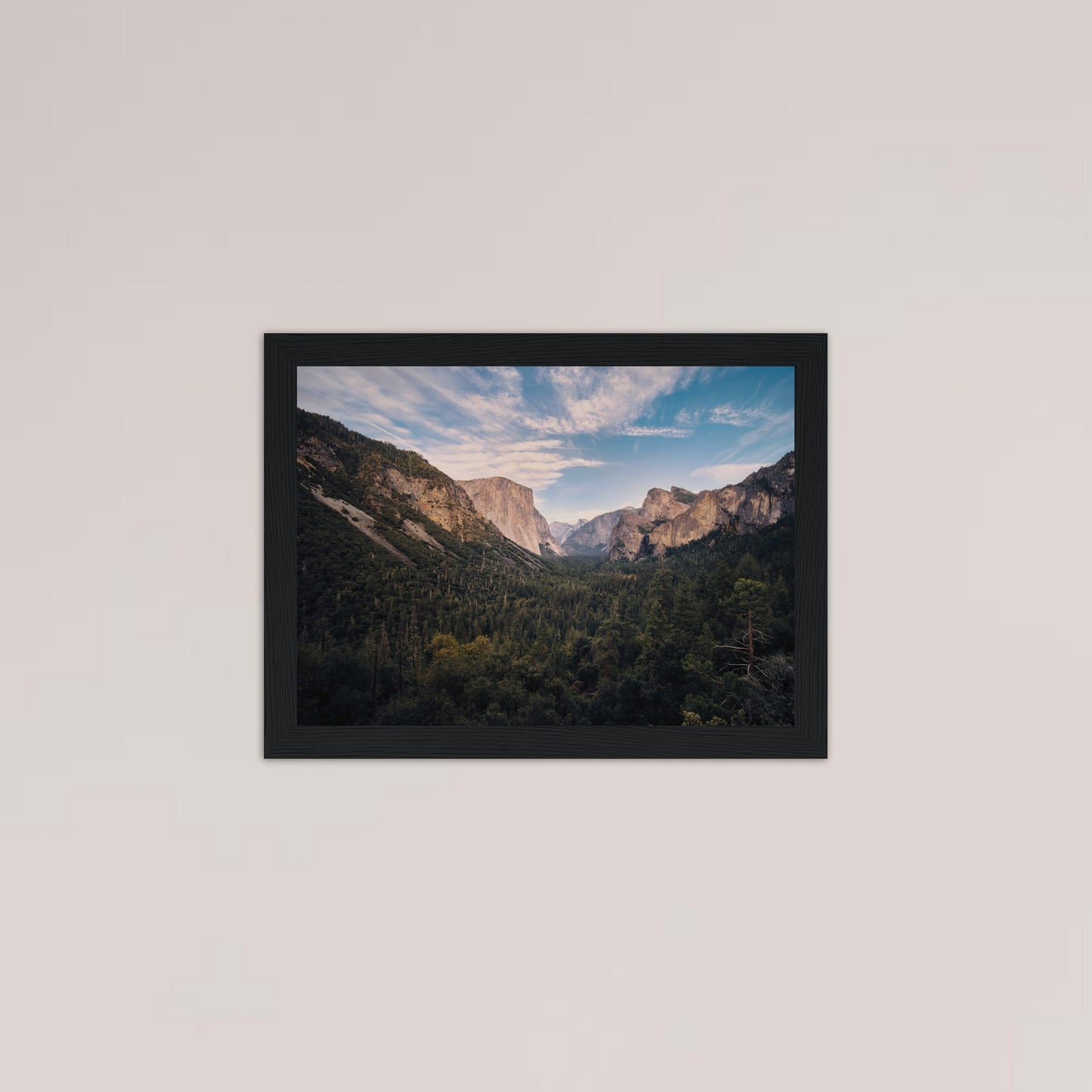 e34ba1b0-9bf7-469e-87dd-b862f3f0a4a7