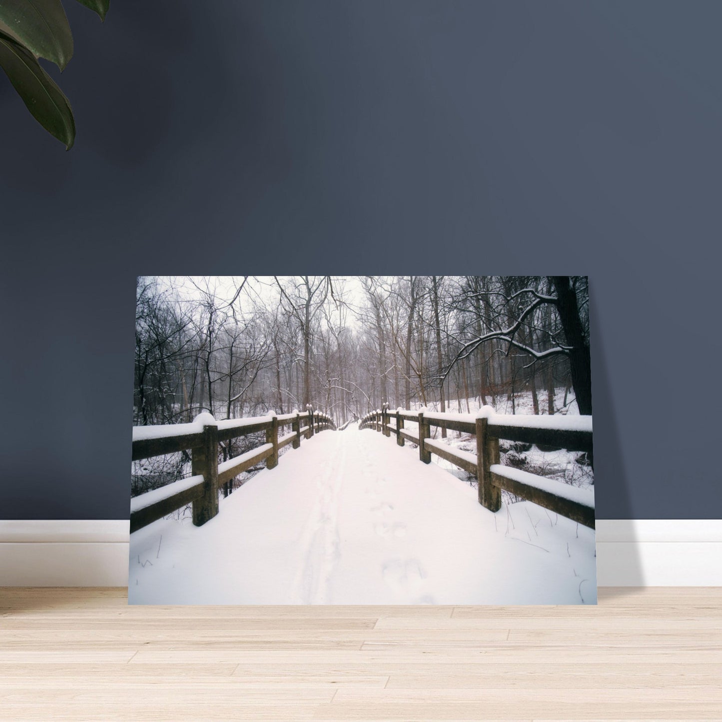 e54aa4a8-1acd-4d14-8f3c-ca8188709477