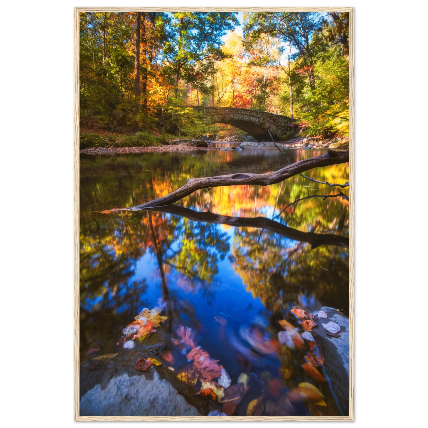 f6b96eff-b74b-42eb-9eaa-78039cc0effe