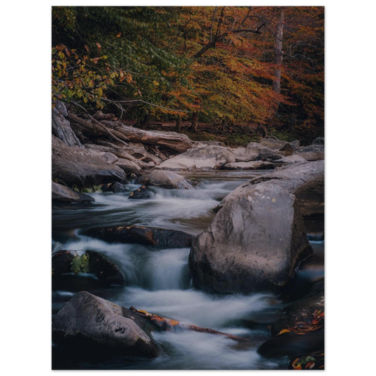 fe40d725-37cb-4c48-a4bd-462675f537d3