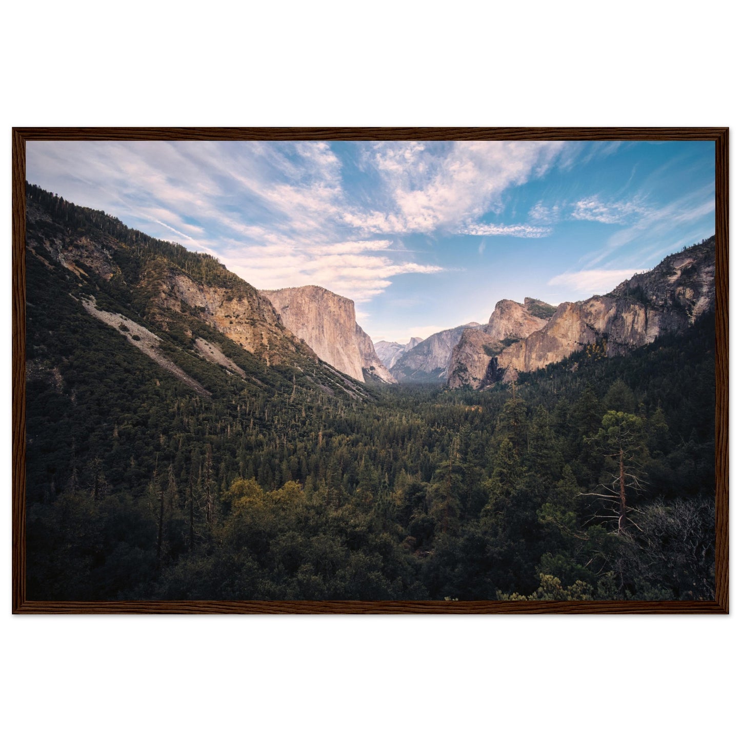 fe7f90cb-5b21-4ce0-a32e-fee89d1b0a85