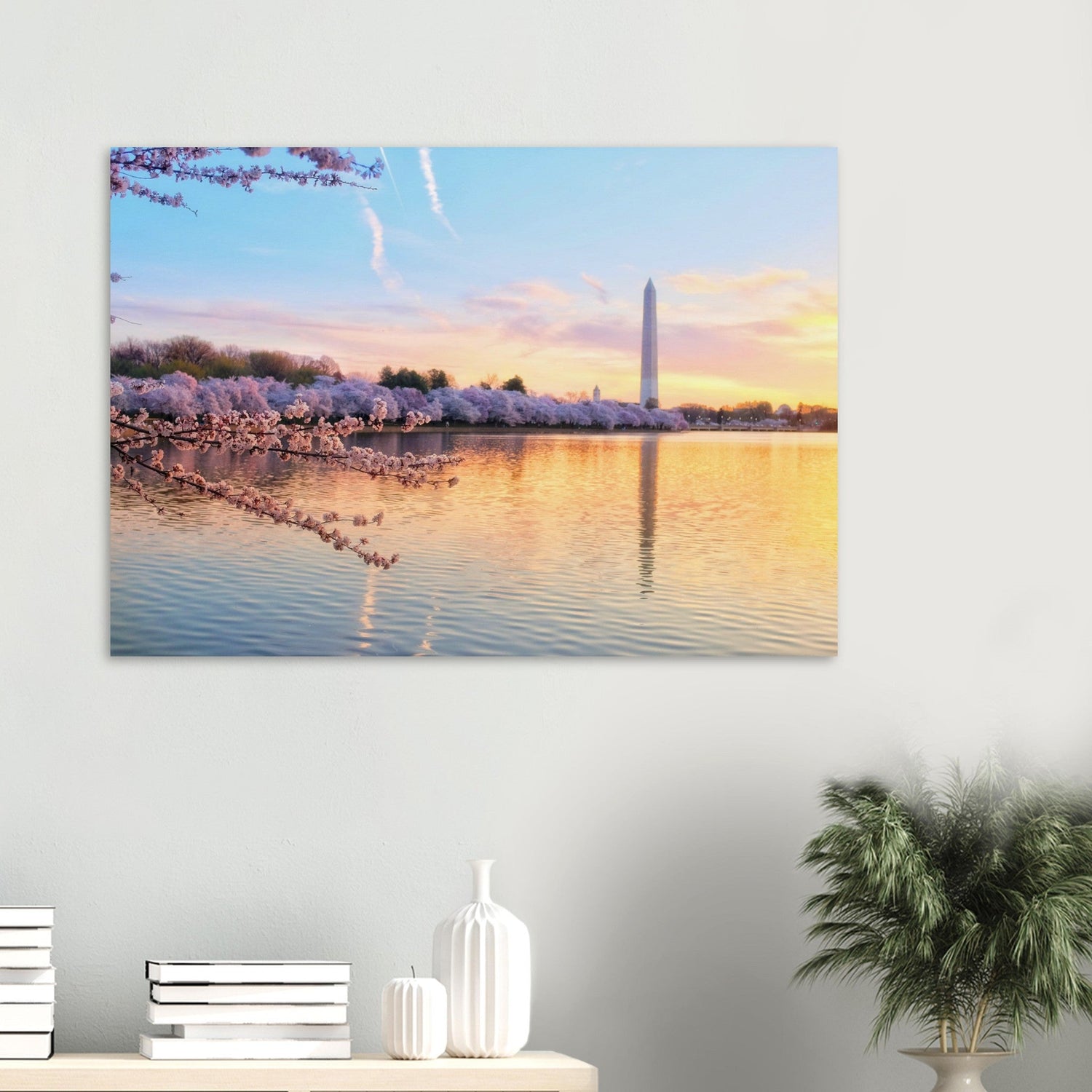 Washington DC Collection