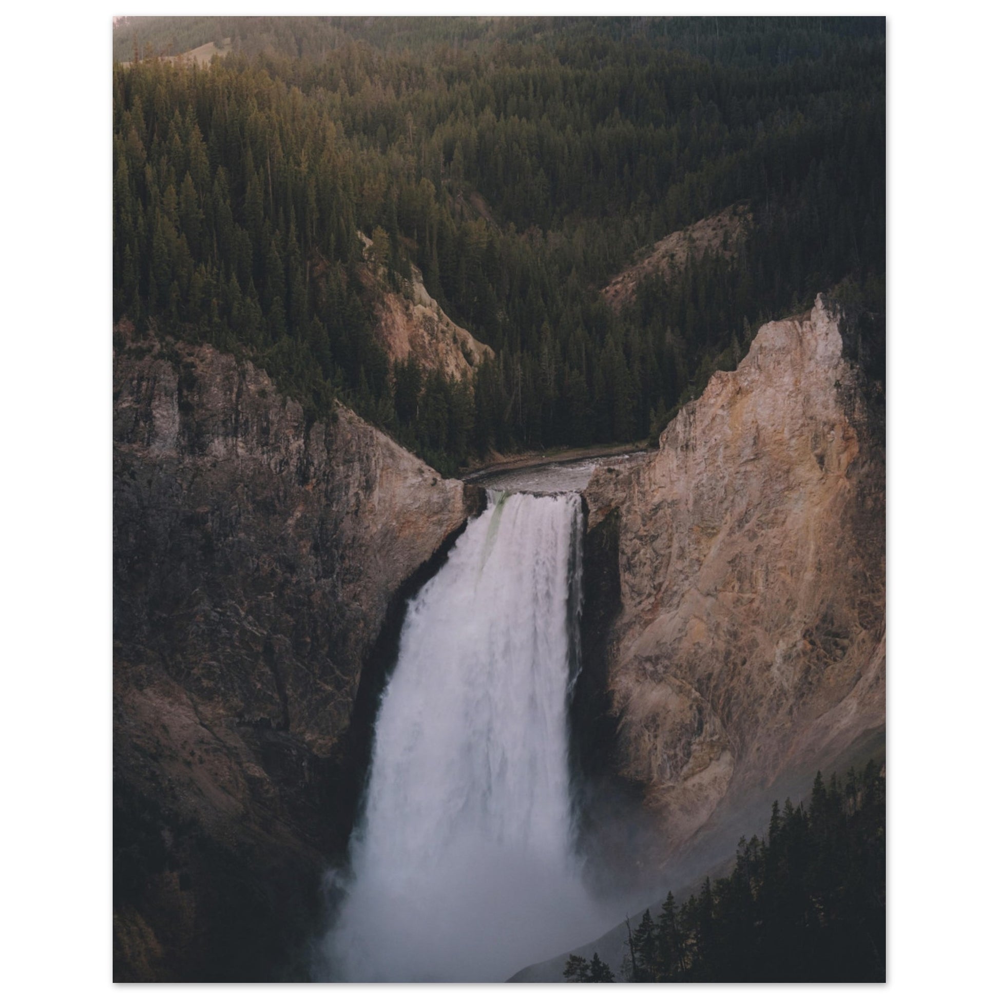 01c50638-7ce7-4123-badb-345c10ba8308