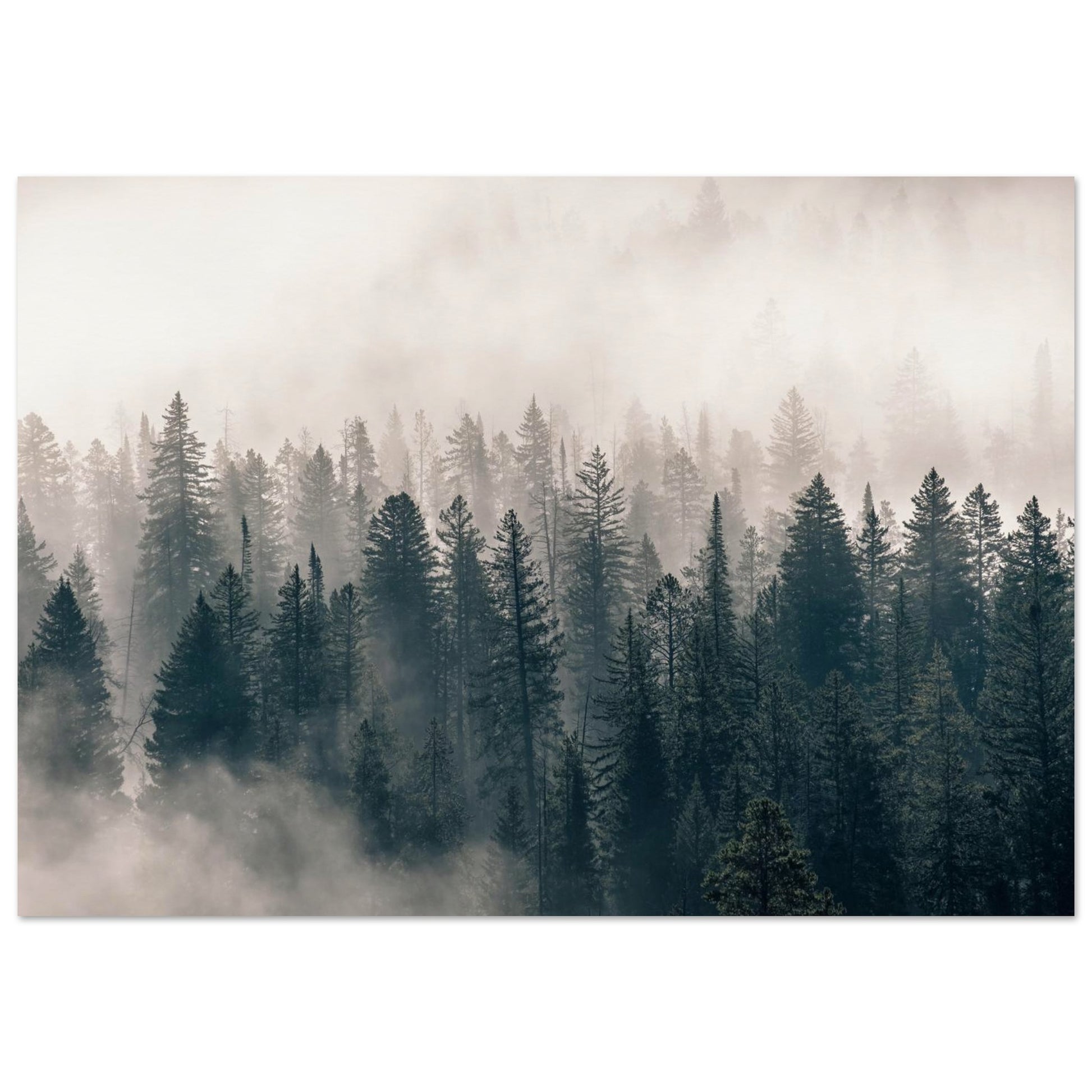 0e109dbb-ddf7-4956-b526-3e2538c005d8