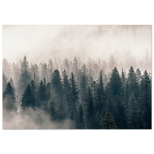 0e109dbb-ddf7-4956-b526-3e2538c005d8
