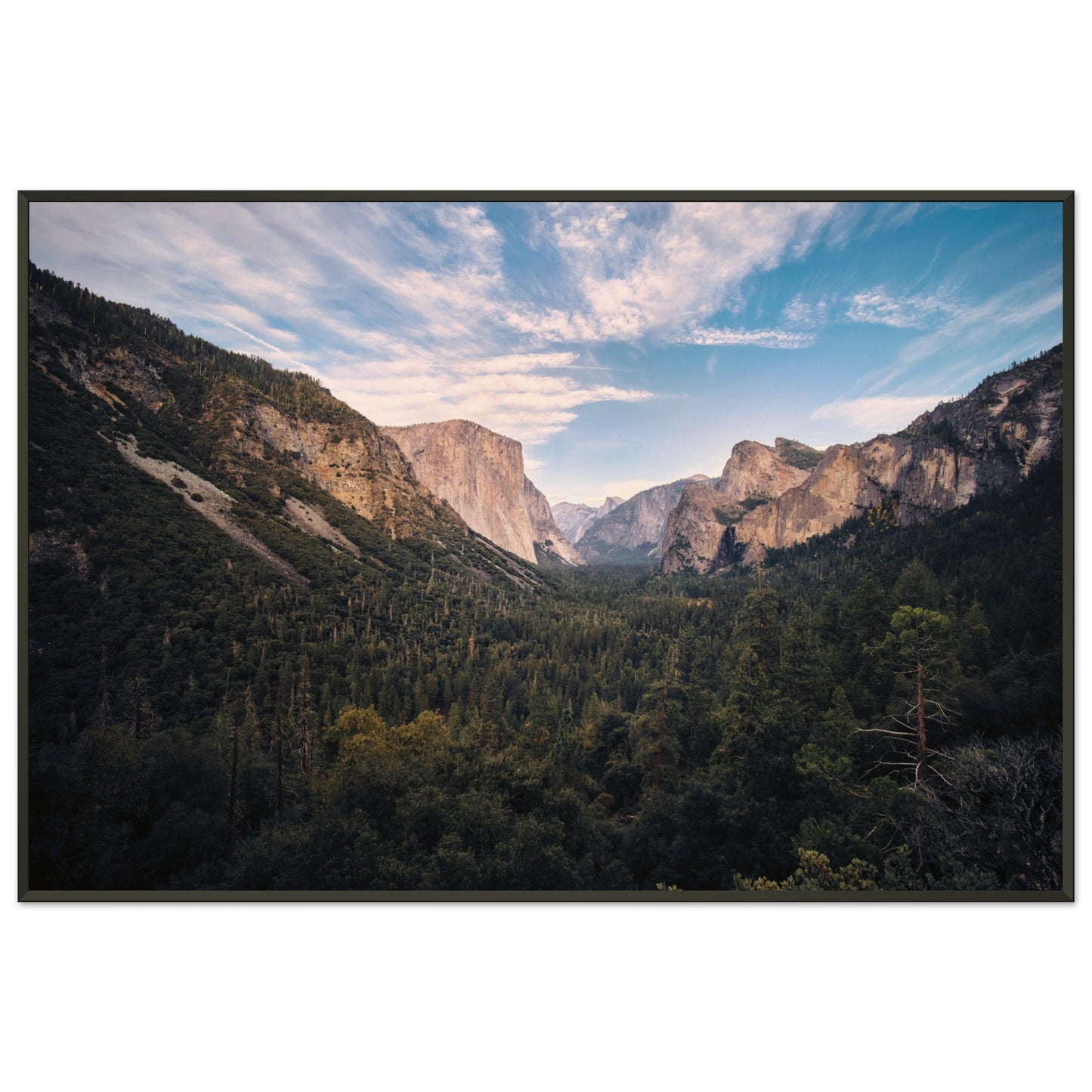 280d0abc-f498-42e3-90ed-78a9f7f11a2d