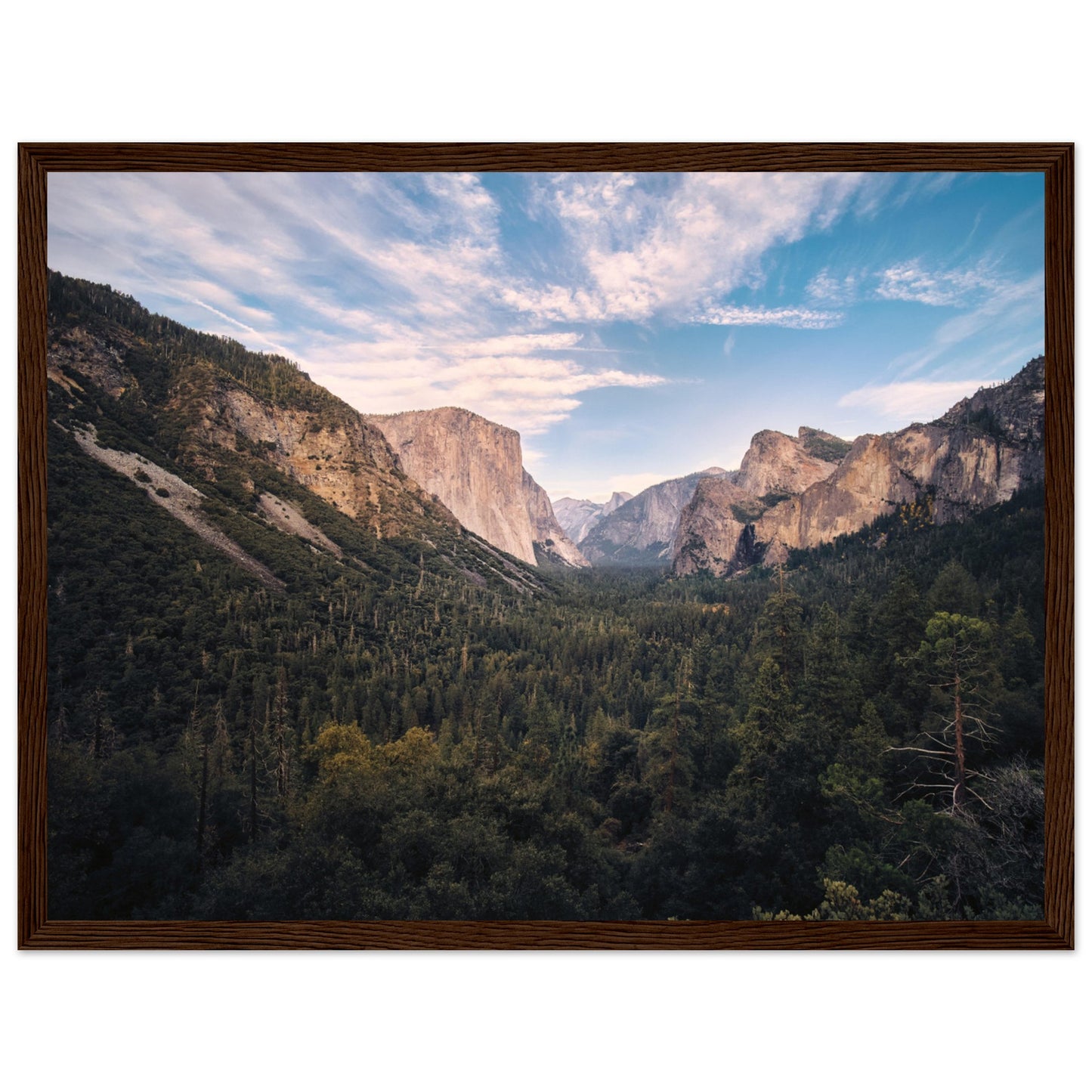 35a7c03a-86b2-47ef-b46e-99eef089dfe9