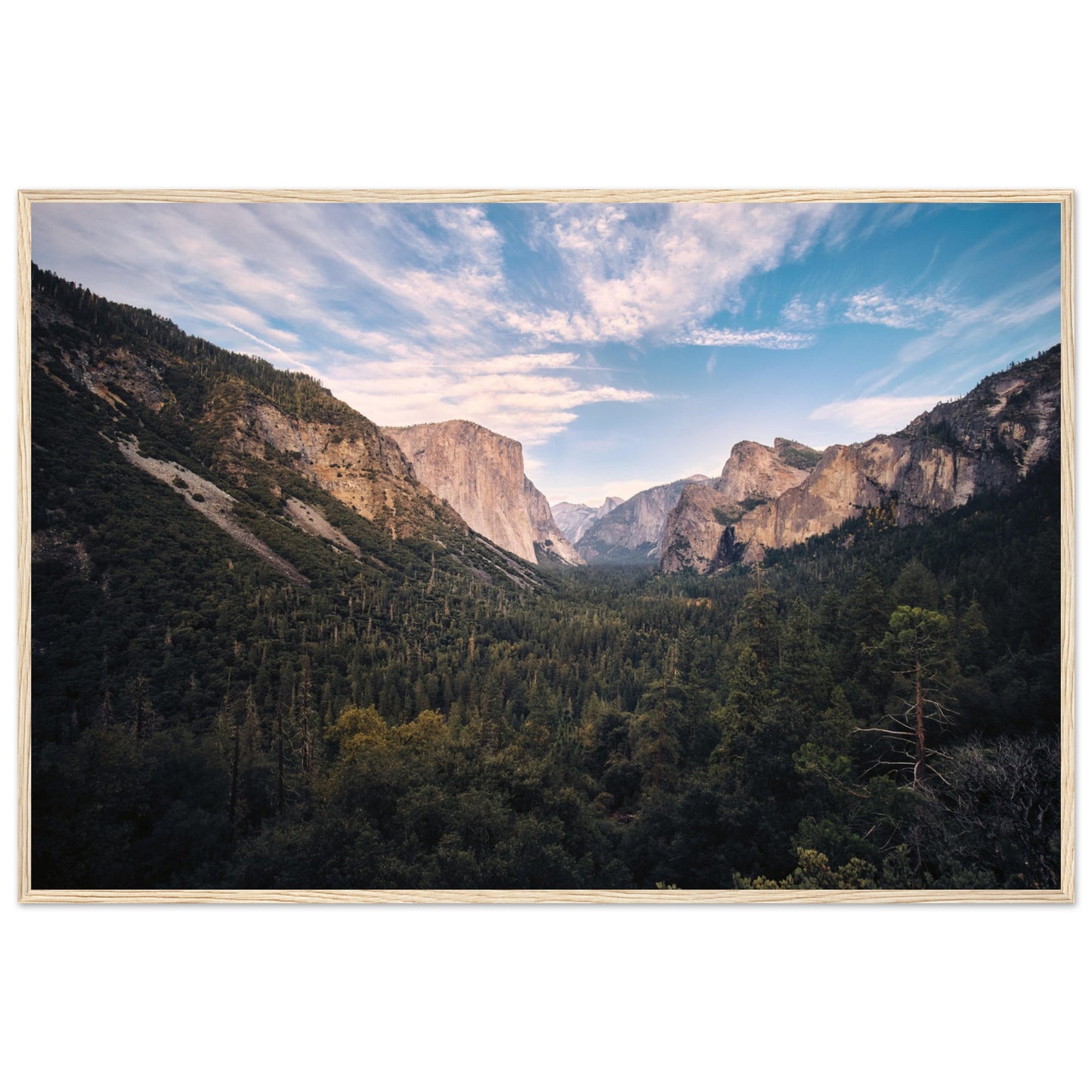 3f15562f-1c44-43ee-ae24-e606f3c865a0