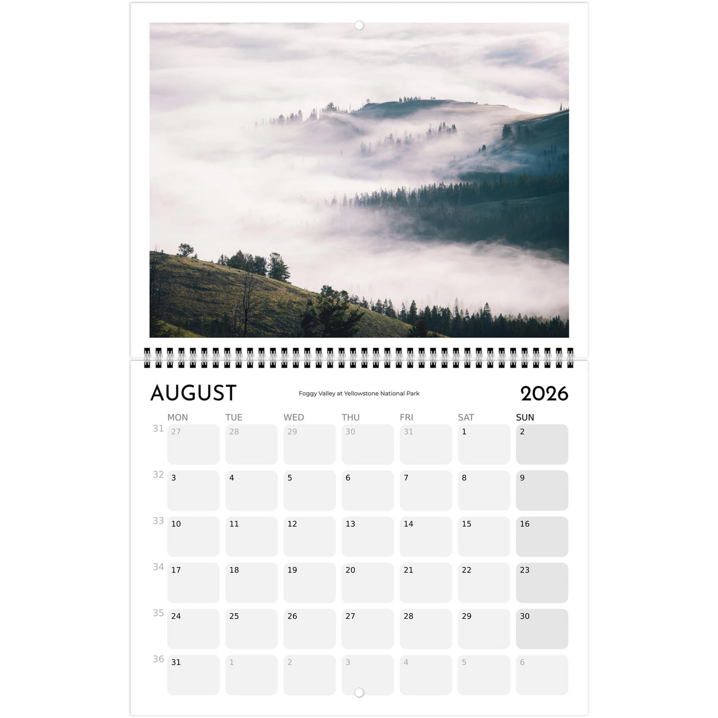 3f51cd4e-1a9c-48e5-bfce-05e51bb4f5d4