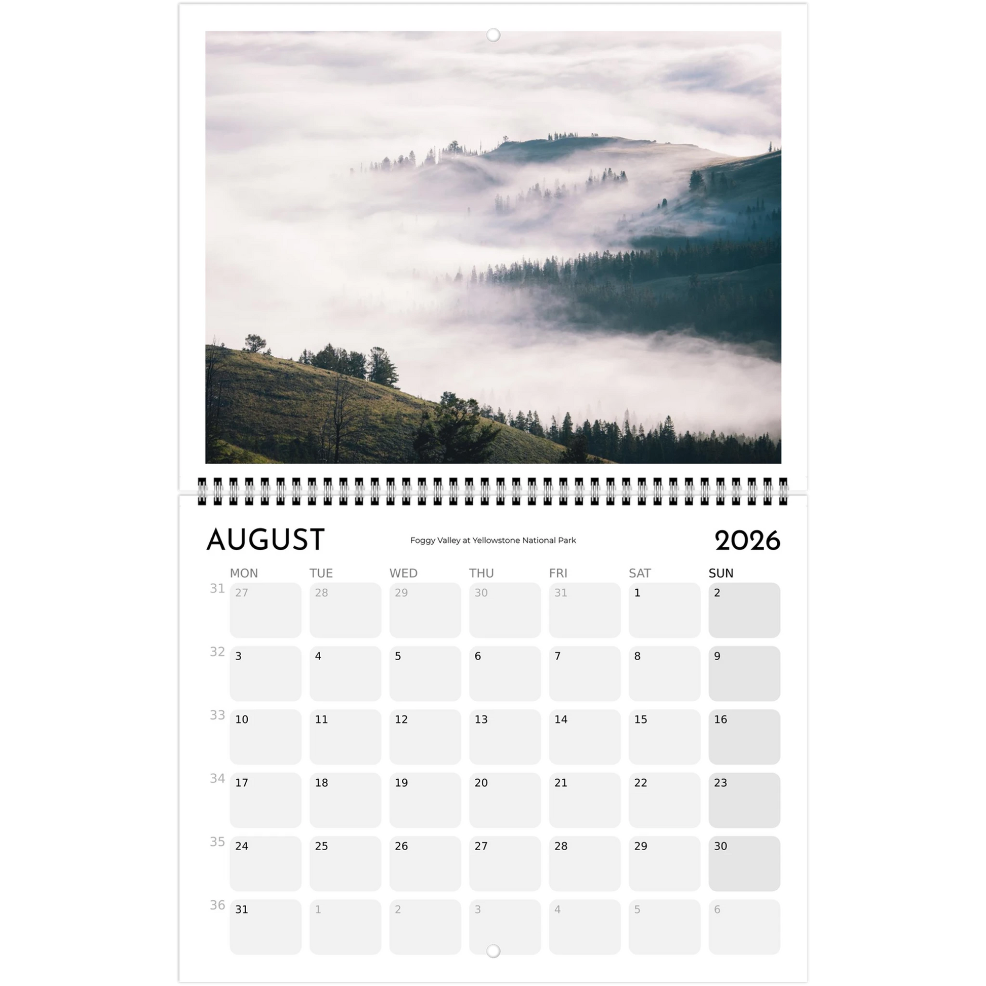 3f51cd4e-1a9c-48e5-bfce-05e51bb4f5d4