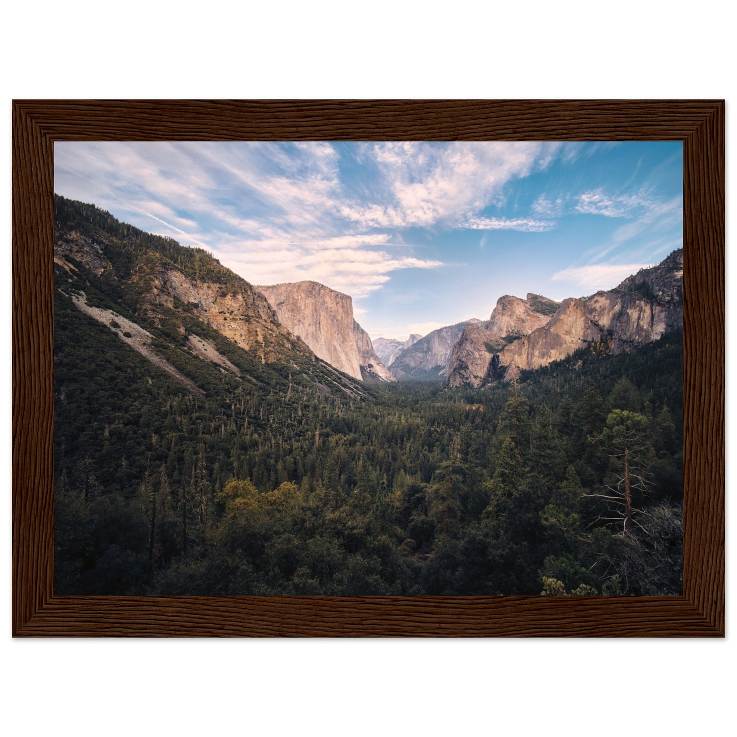 40ac1389-057f-43bb-a505-be03f12fcad5