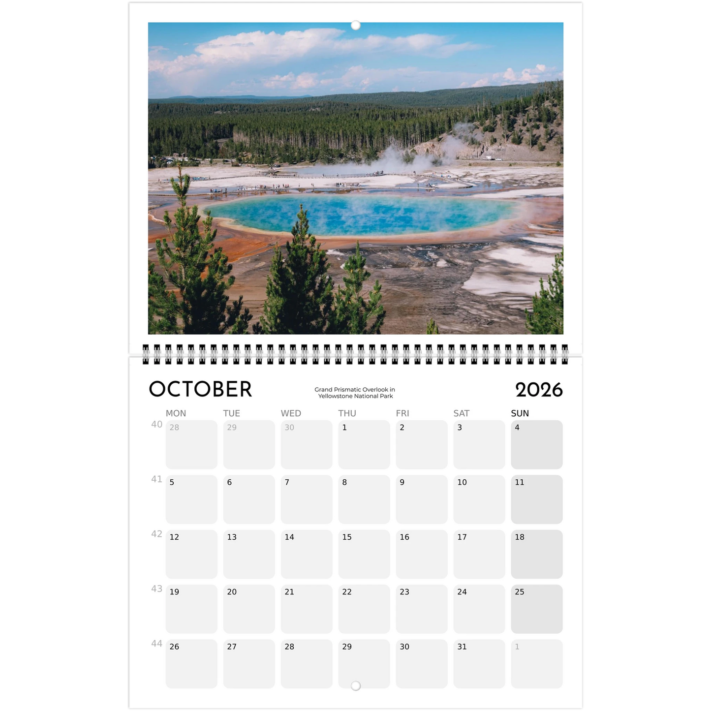 5e88d702-0c0b-458e-8a17-036e786f3220