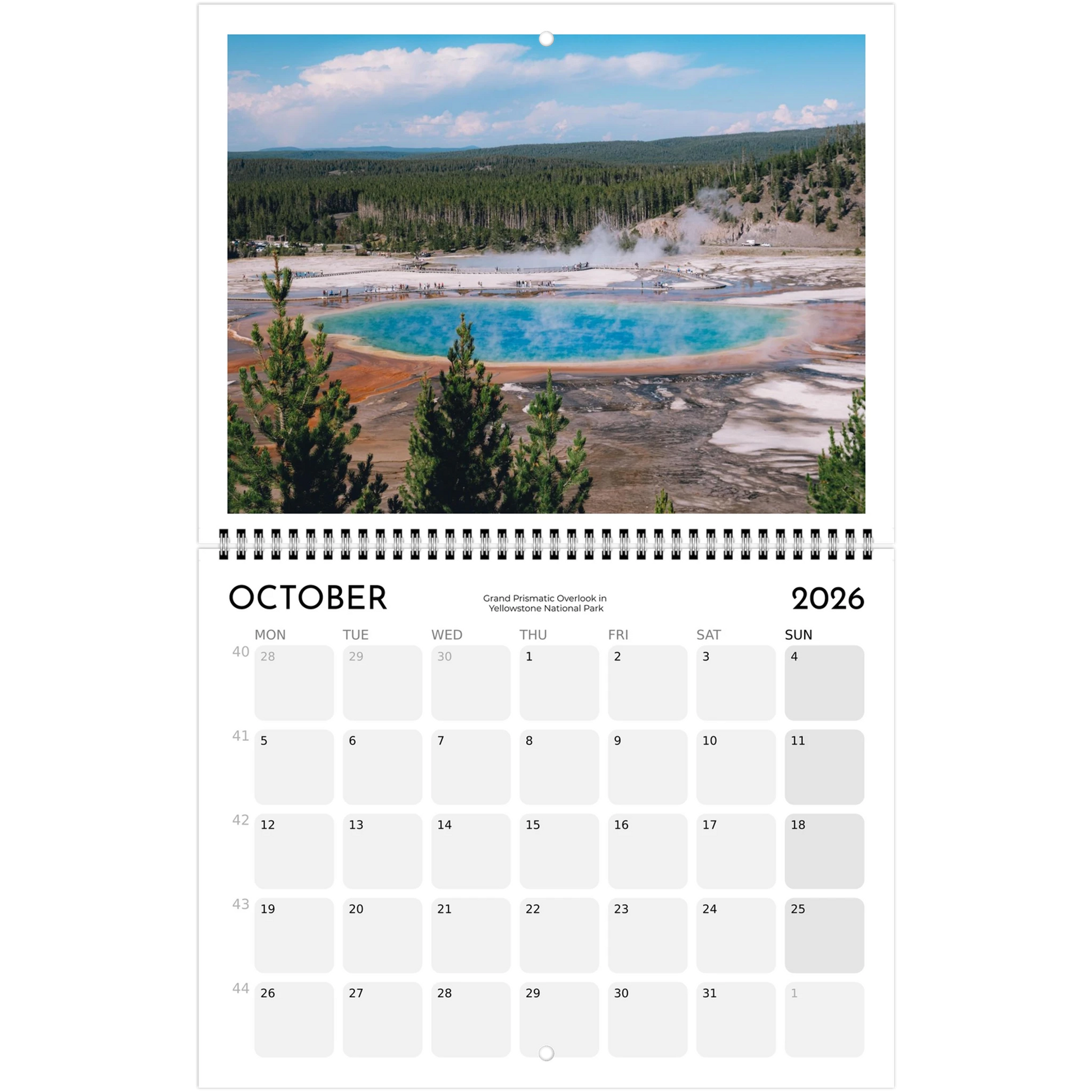 5e88d702-0c0b-458e-8a17-036e786f3220