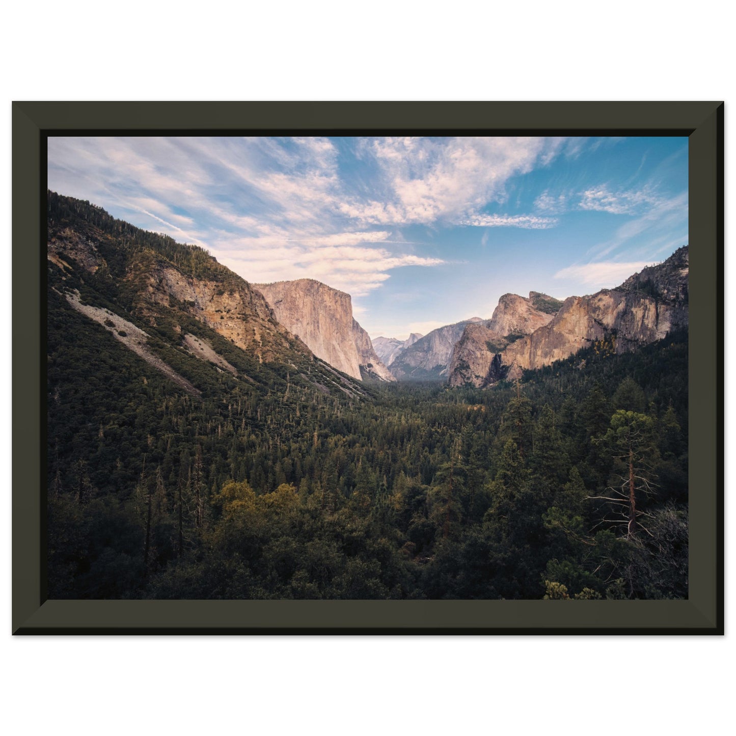 5e8b0c6b-7f89-446e-911a-79e783f71e1e