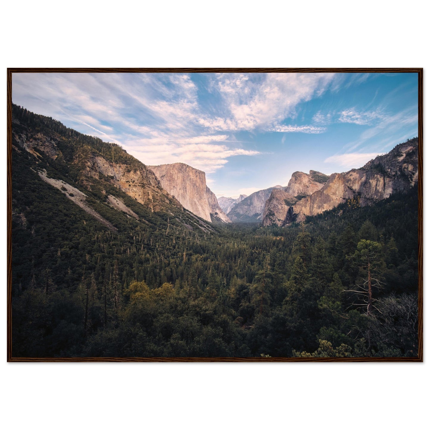 8e922b33-9b88-4621-9311-ef42aa06160e