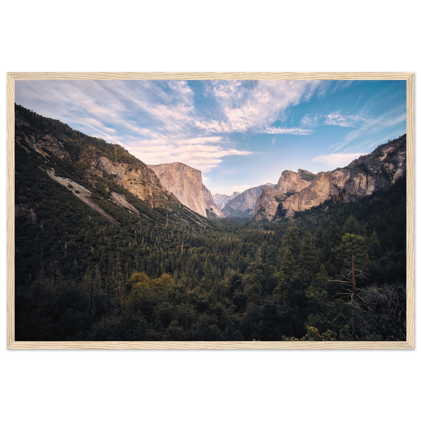 9be80eae-9648-4887-95ca-ad7cf1dfd281