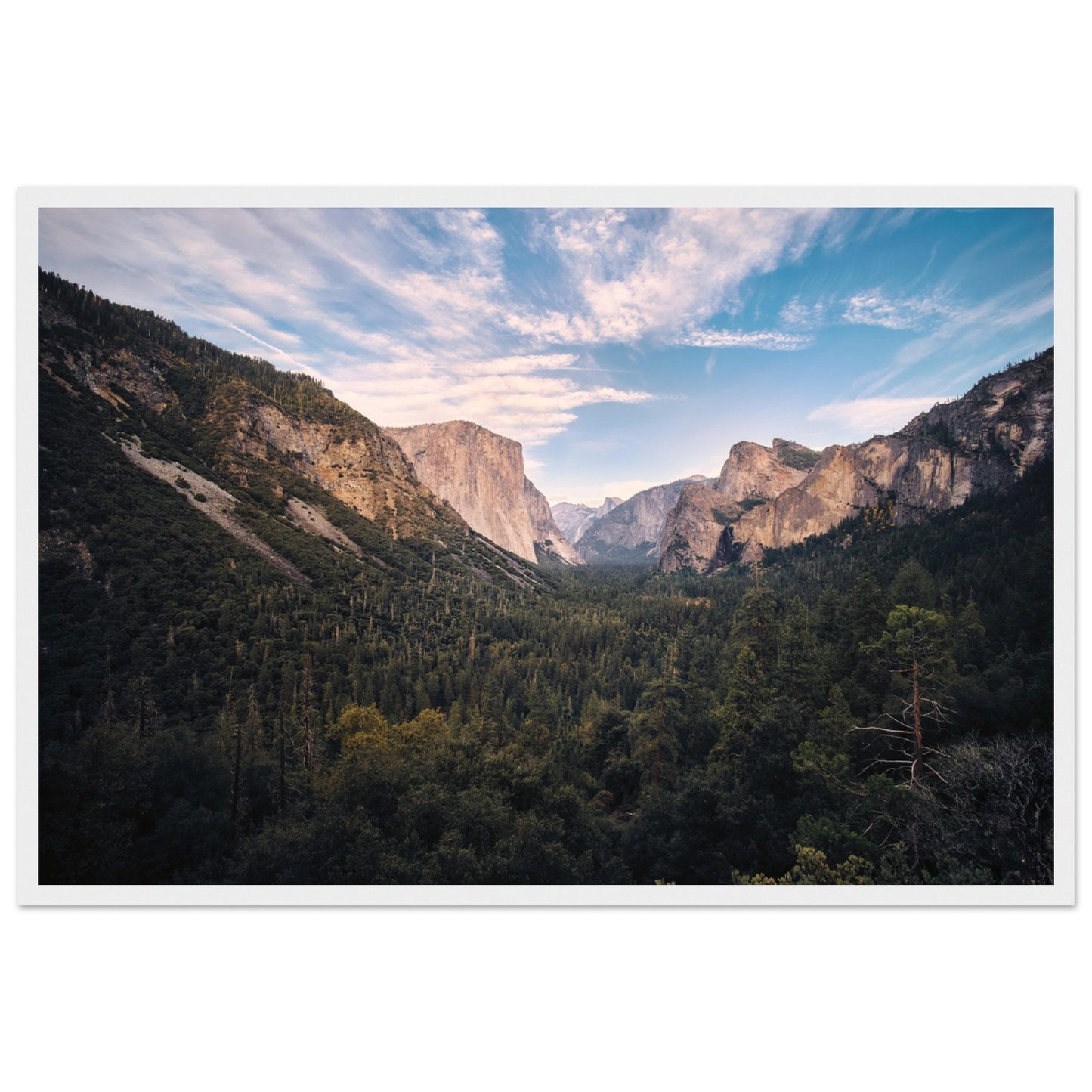 a6e70db7-ee1e-4774-a2b4-6127f003ae8e