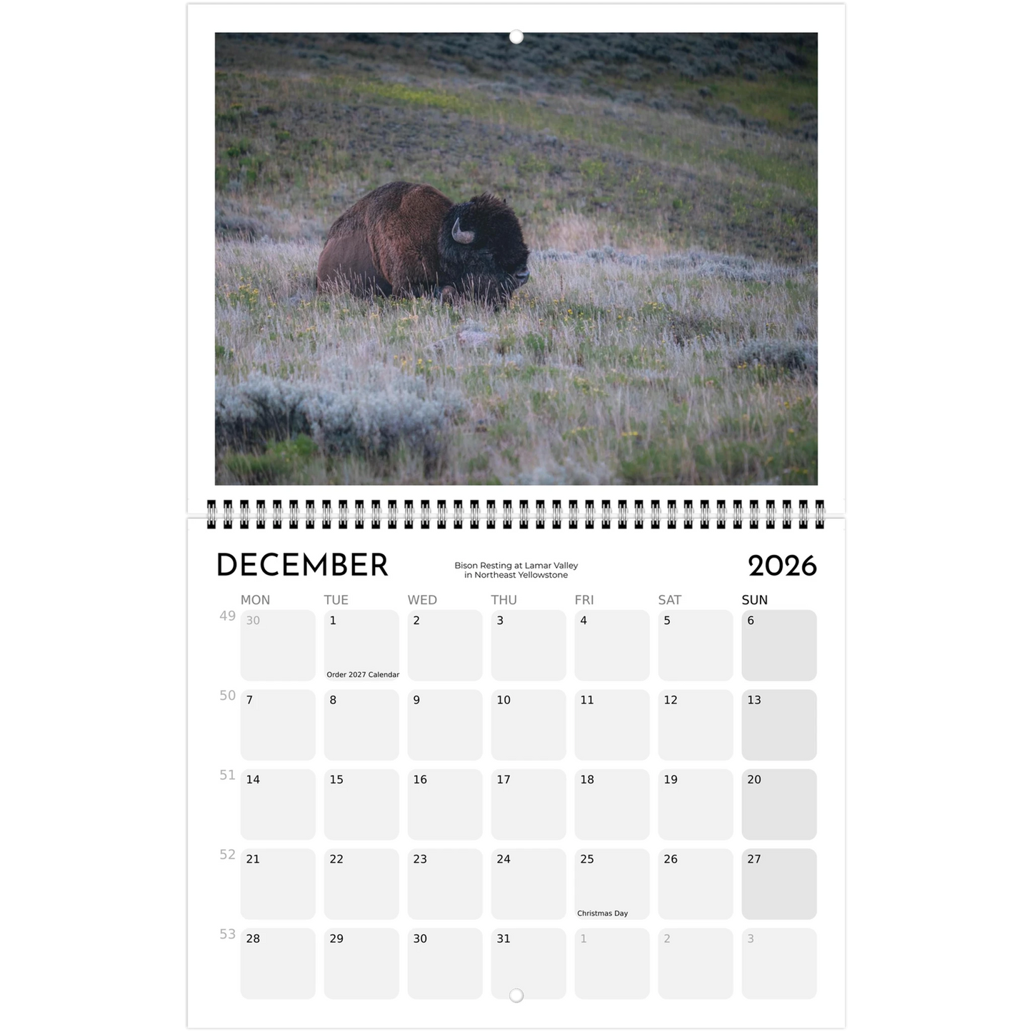 bffcd021-dd4e-4658-b4af-ccf8a271a942