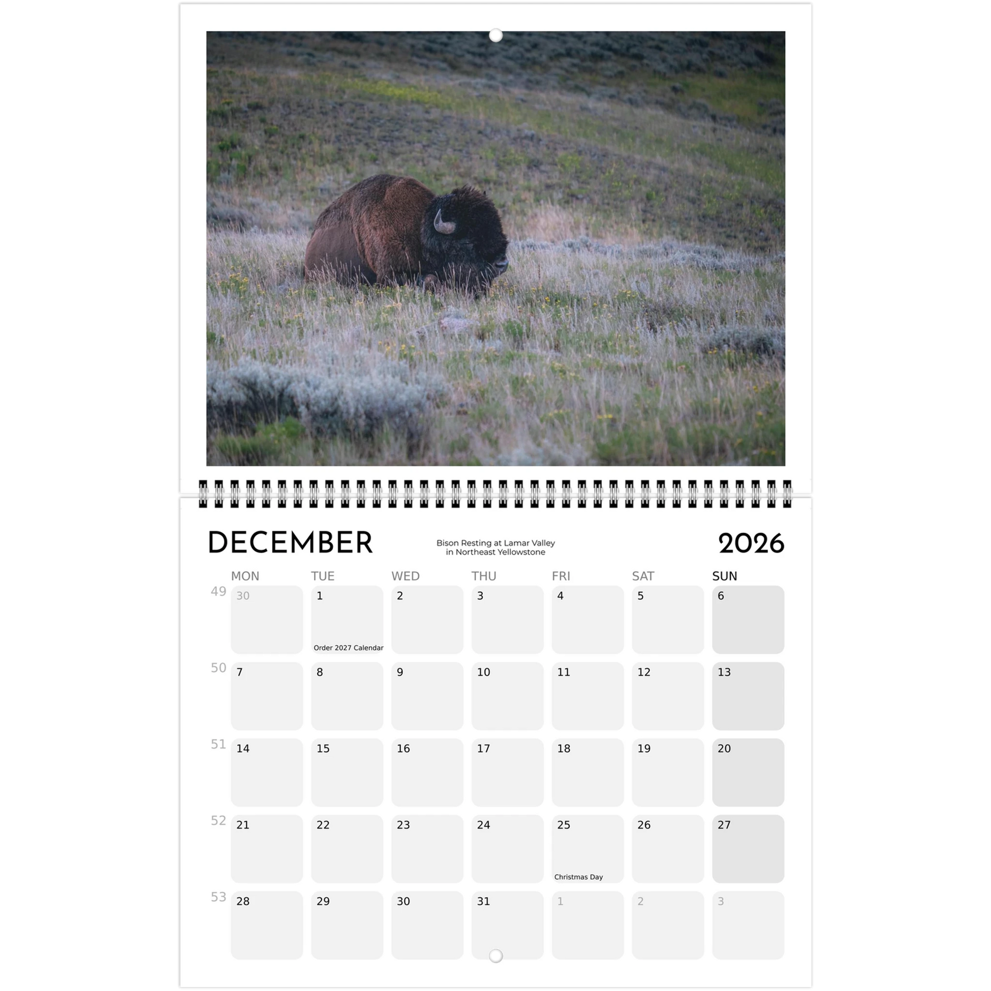 bffcd021-dd4e-4658-b4af-ccf8a271a942