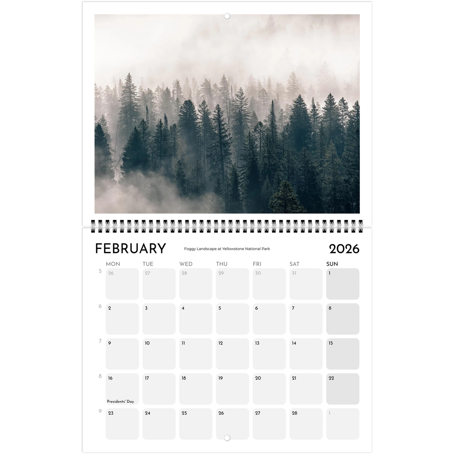 cf21716b-13ce-4af3-b697-835847d545ce