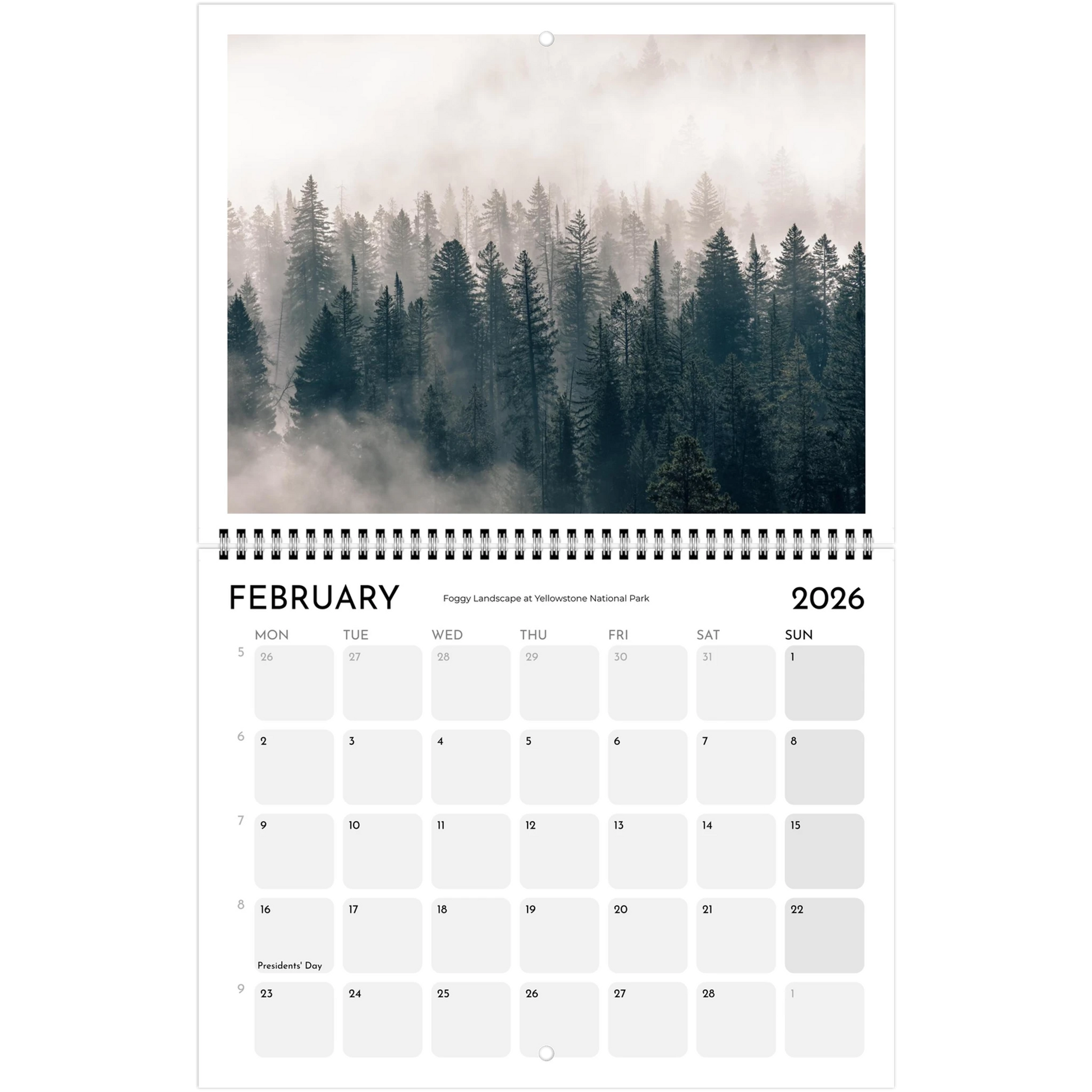 cf21716b-13ce-4af3-b697-835847d545ce