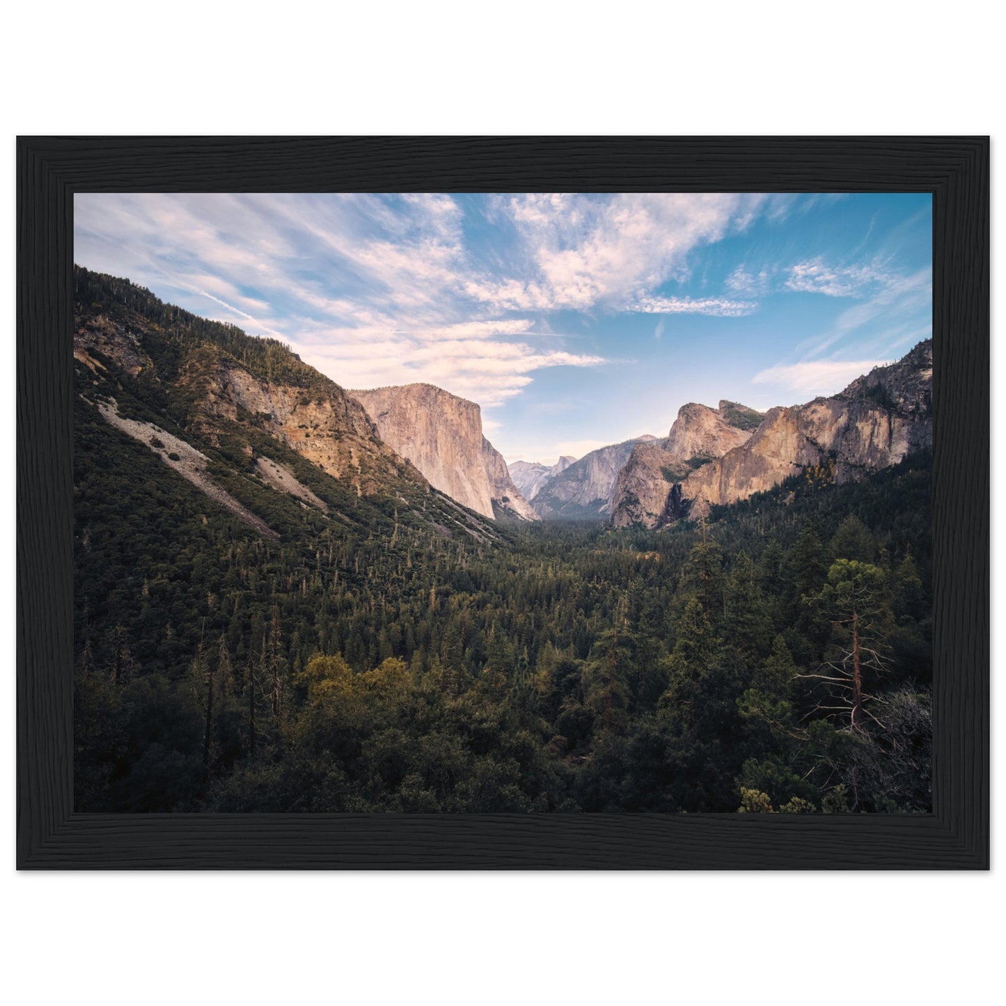 e3f94e26-5b54-4492-bbc9-01806ec25681