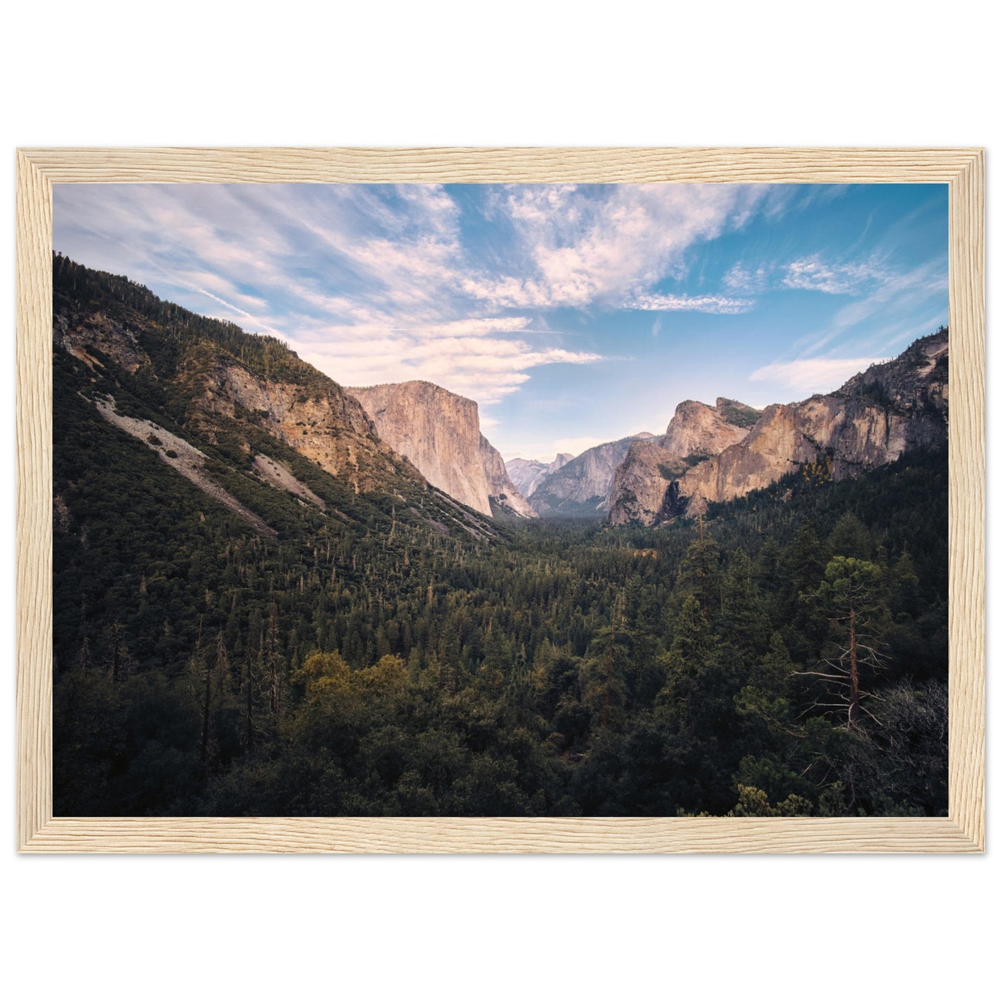 e62eecff-6a8c-4377-b77b-889b9ff3a3b8